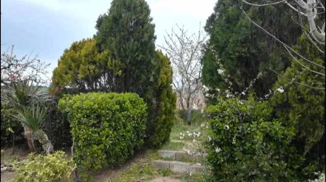 Apartamento Sa Chiriasa Monti